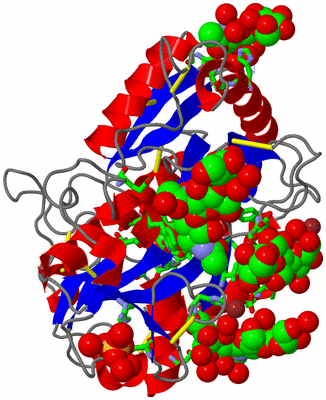 Image Asym./Biol. Unit - sites