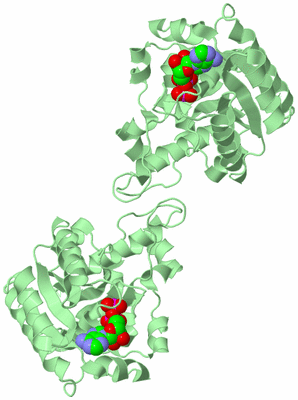 Image Biological Unit 2