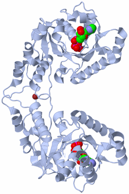 Image Biological Unit 1