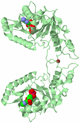 Image Biological Unit 2