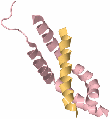 Image Biological Unit 3