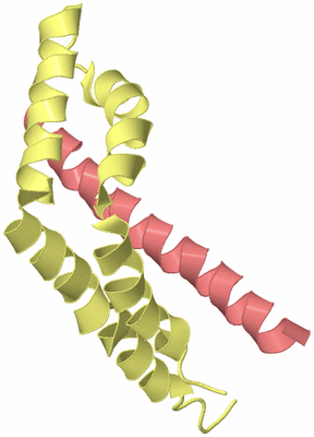 Image Biological Unit 4