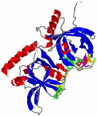 Image Asym./Biol. Unit