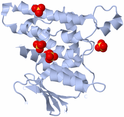 Image Biological Unit 1