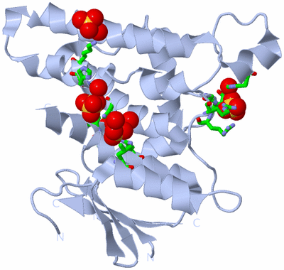 Image Biol. Unit 1 - sites