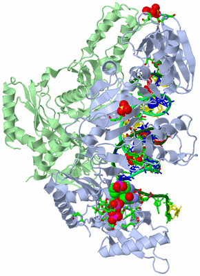 Image Asym./Biol. Unit - sites