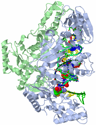 Image Asym./Biol. Unit - sites