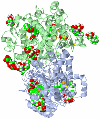 Image Asym./Biol. Unit