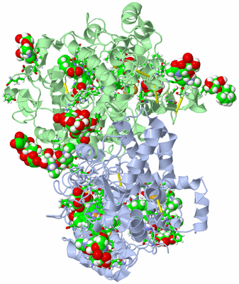 Image Asym./Biol. Unit - sites