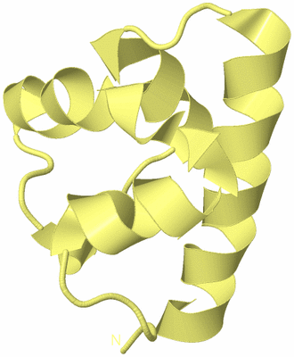 Image Biological Unit 4