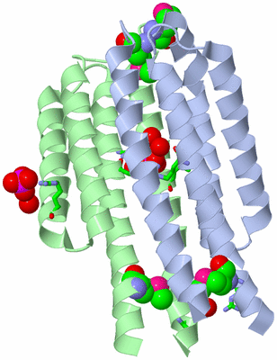 Image Asym./Biol. Unit - sites