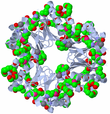 Image Biological Unit 2