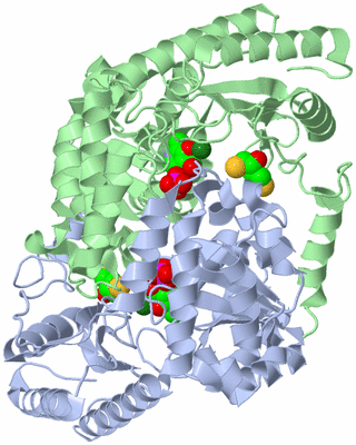 Image Asym./Biol. Unit