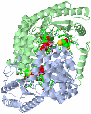 Image Asym./Biol. Unit - sites