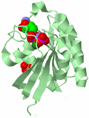 Image Biological Unit 2