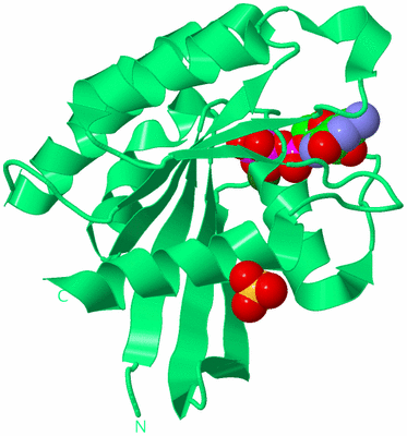 Image Biological Unit 3