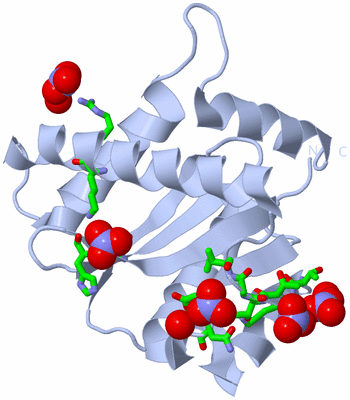 Image Biol. Unit 1 - sites