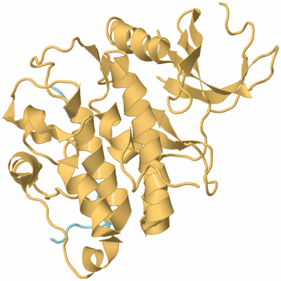 Image Biological Unit 5