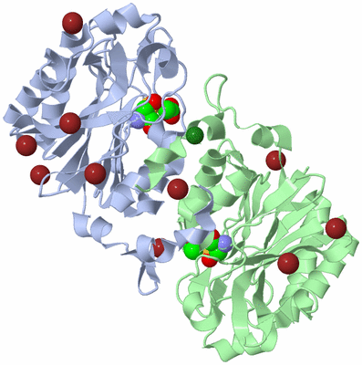 Image Asym./Biol. Unit