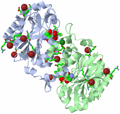 Image Asym./Biol. Unit - sites