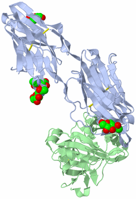 Image Asym./Biol. Unit