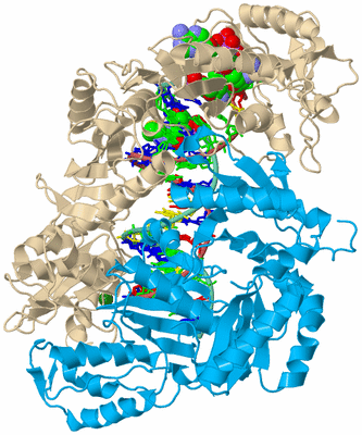 Image Biological Unit 3