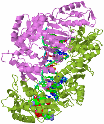Image Biological Unit 4
