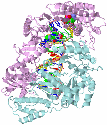 Image Biological Unit 2