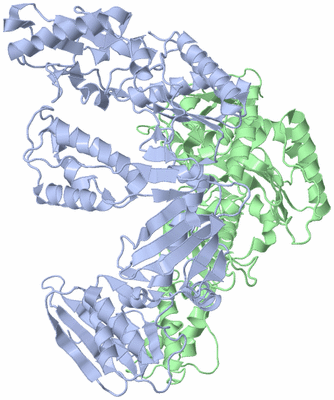 Image Asym./Biol. Unit