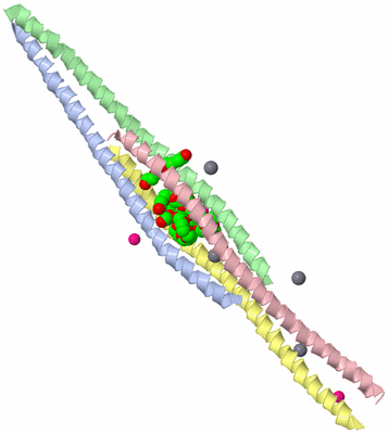 Image Asymmetric Unit