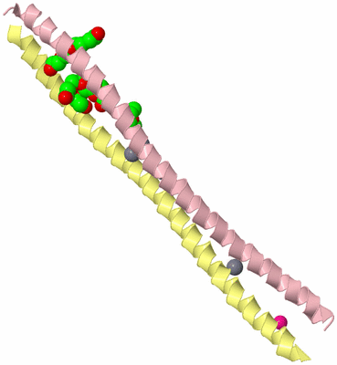 Image Biological Unit 3