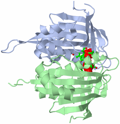 Image Asym./Biol. Unit - sites