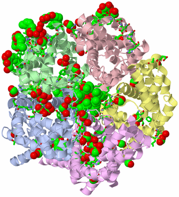 Image Asym./Biol. Unit - sites