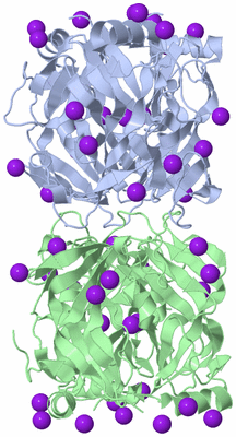 Image Biological Unit 1