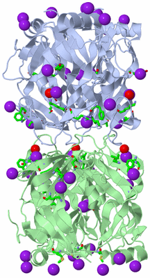 Image Biol. Unit 1 - sites