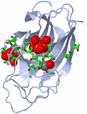 Image Biol. Unit 1 - sites