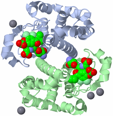 Image Asym./Biol. Unit