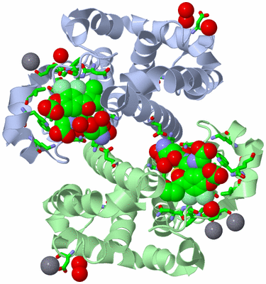 Image Asym./Biol. Unit - sites