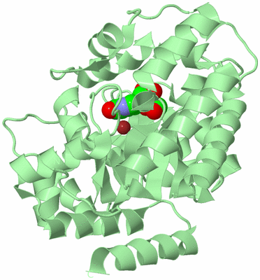 Image Biological Unit 2