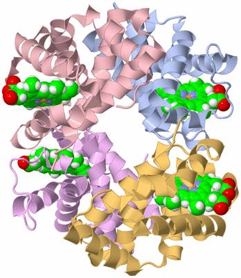 Image Asym./Biol. Unit