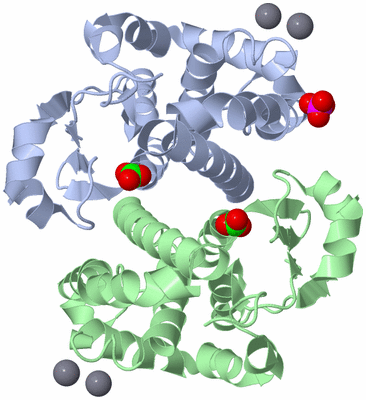 Image Asym./Biol. Unit