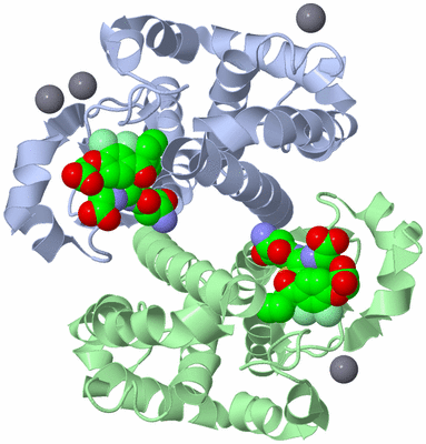 Image Asym./Biol. Unit