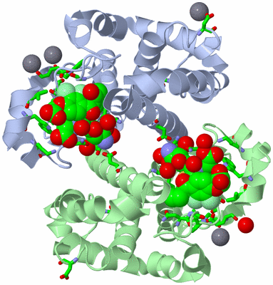 Image Asym./Biol. Unit - sites