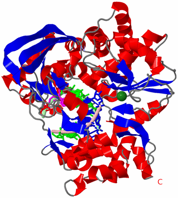 Image Asym./Biol. Unit