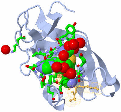 Image Biol. Unit 1 - sites