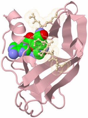 Image Biological Unit 3