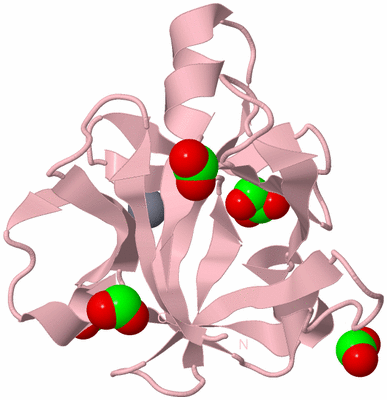 Image Biological Unit 3