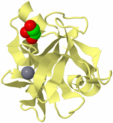 Image Biological Unit 4