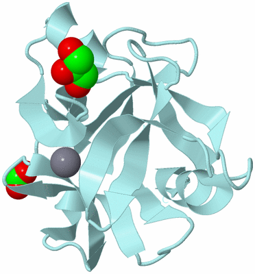 Image Biological Unit 6