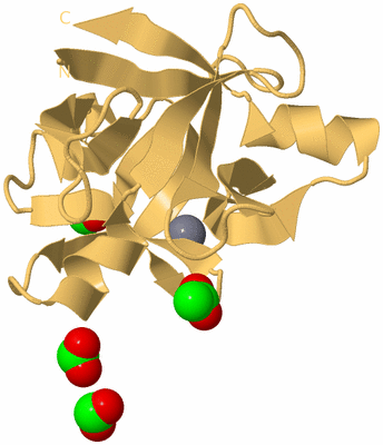 Image Biological Unit 7